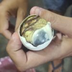Balut: ¿Manjar o Asco? El Huevo de Pato Filipino